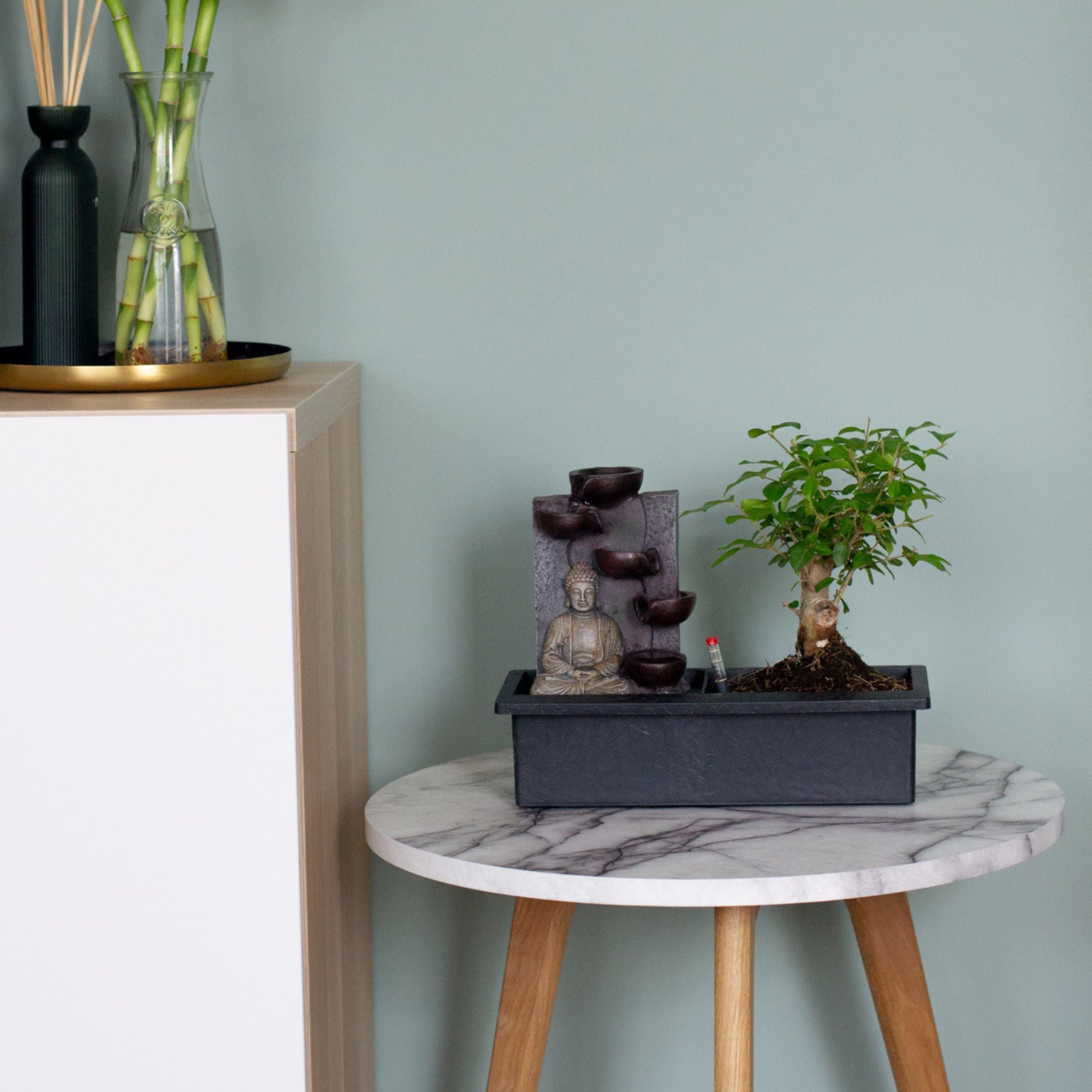 Bonsai med vattenfal - Bonsai