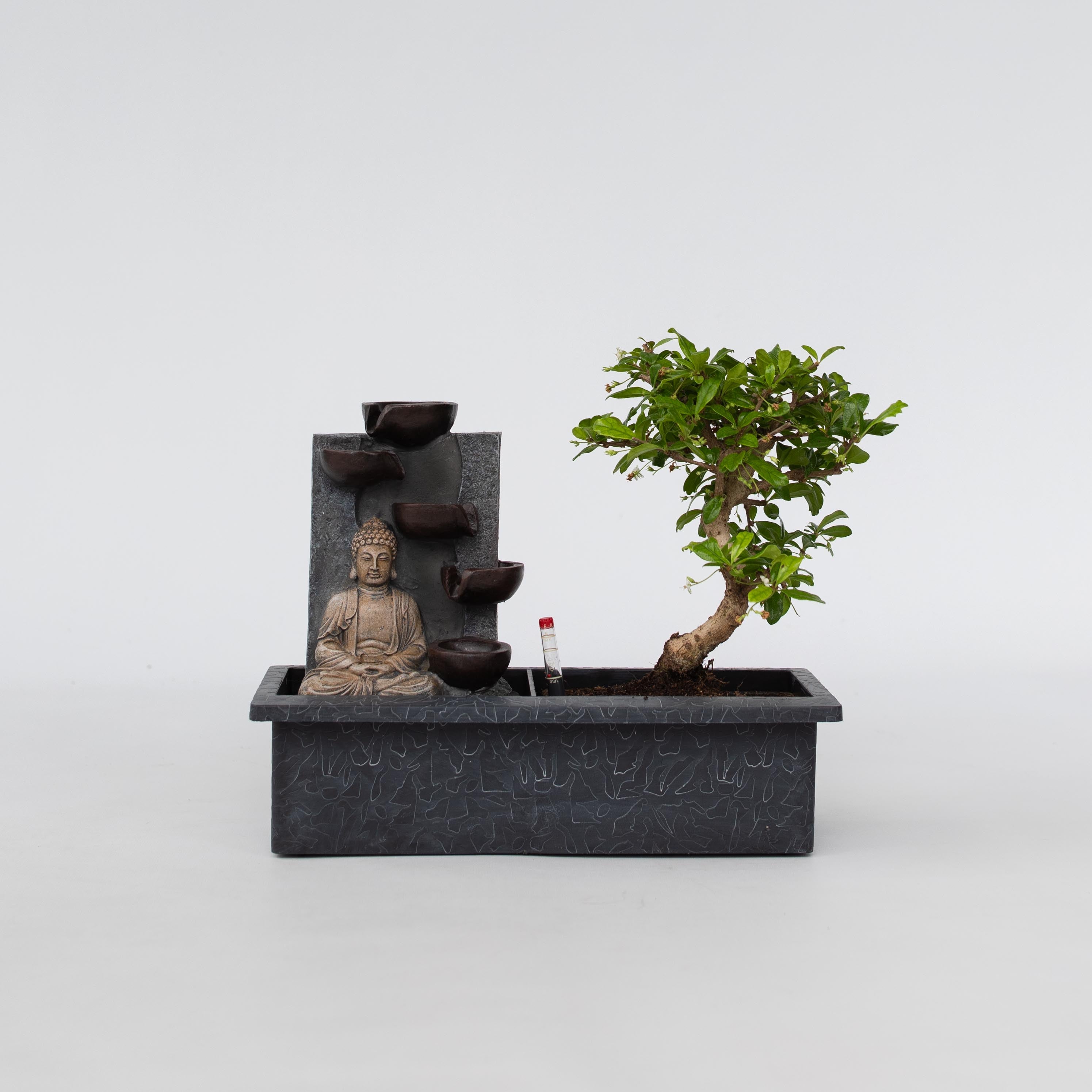 Bonsai med vattenfal - Bonsai