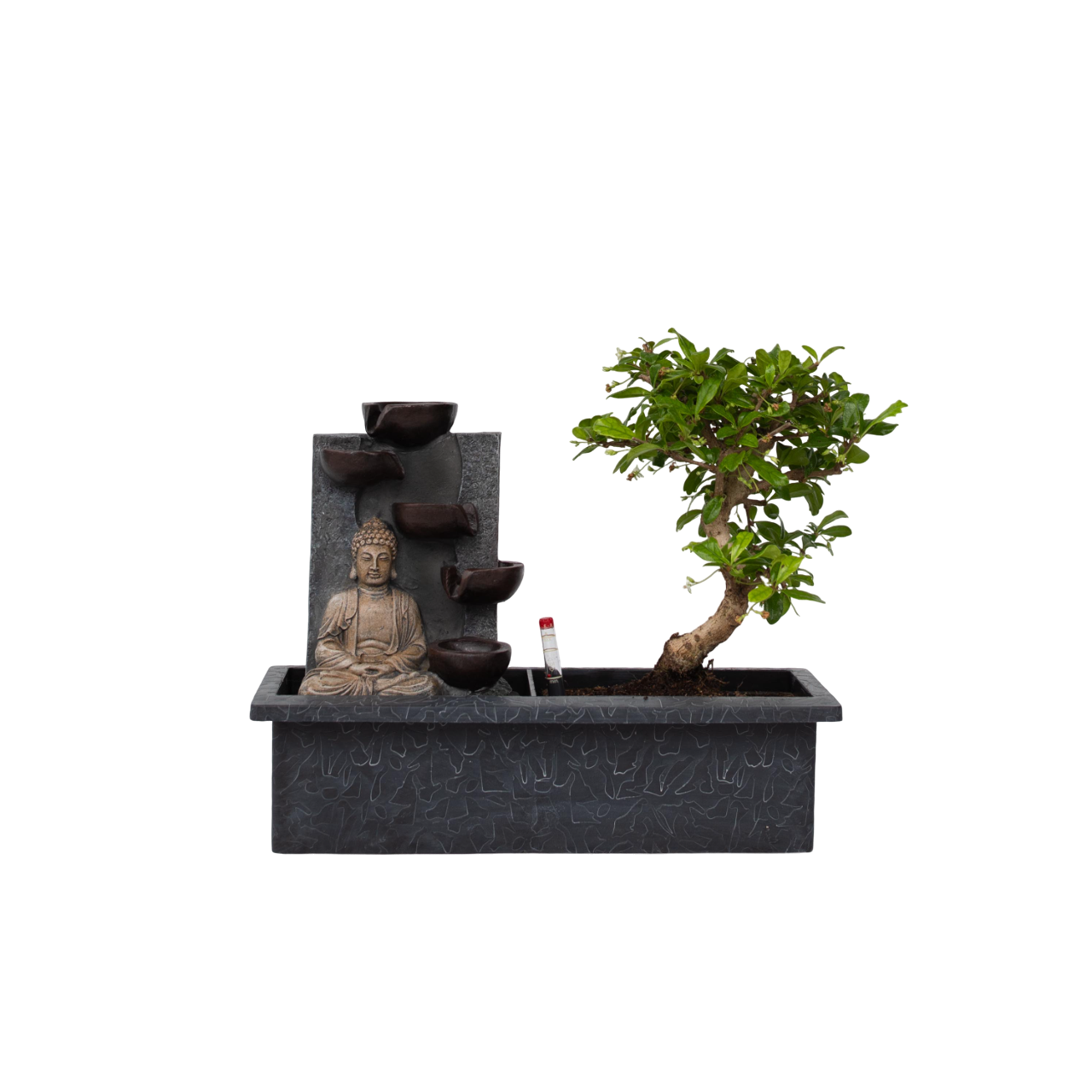 Bonsai med vattenfal - Bonsai