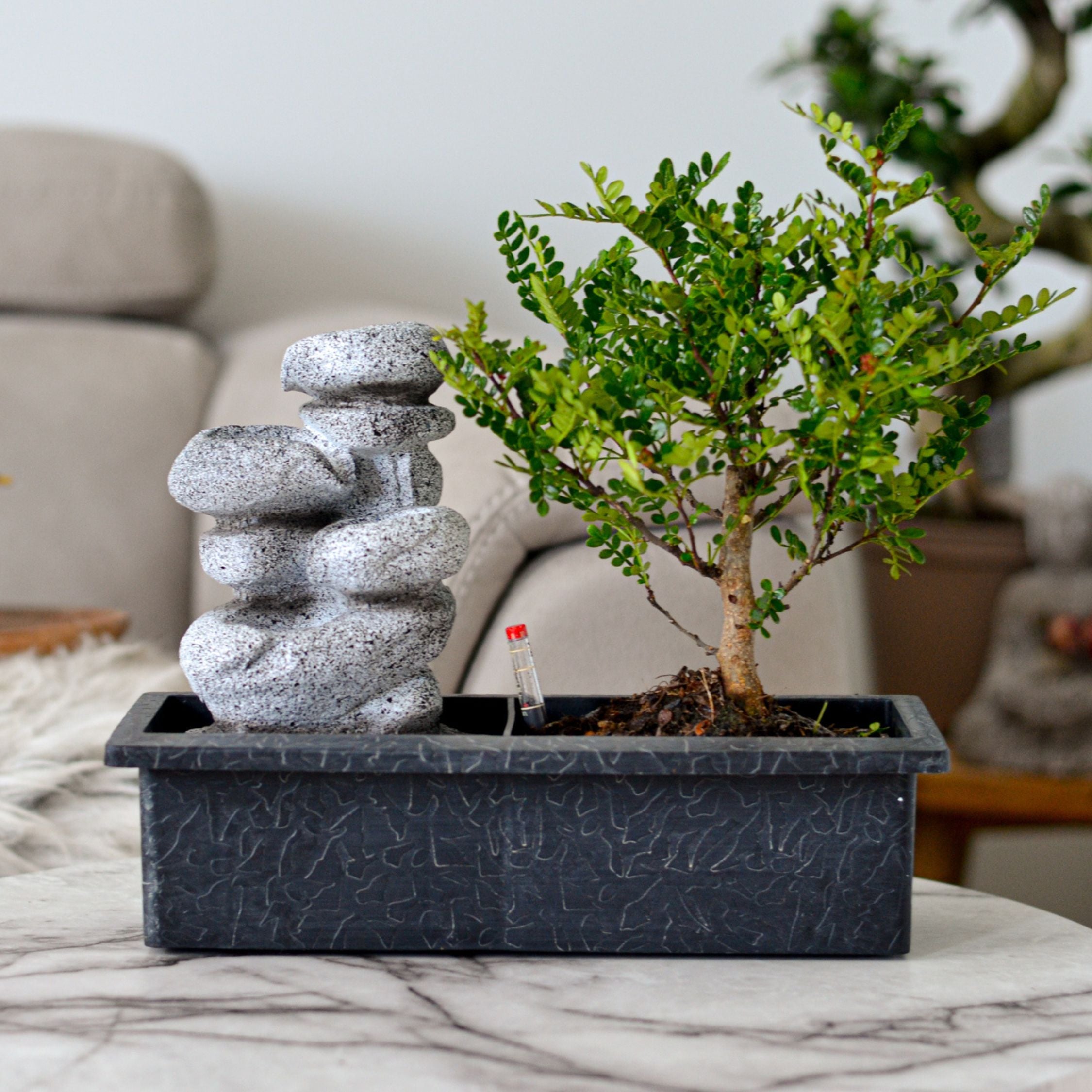 Bonsai træ med vandfald - Bonsai