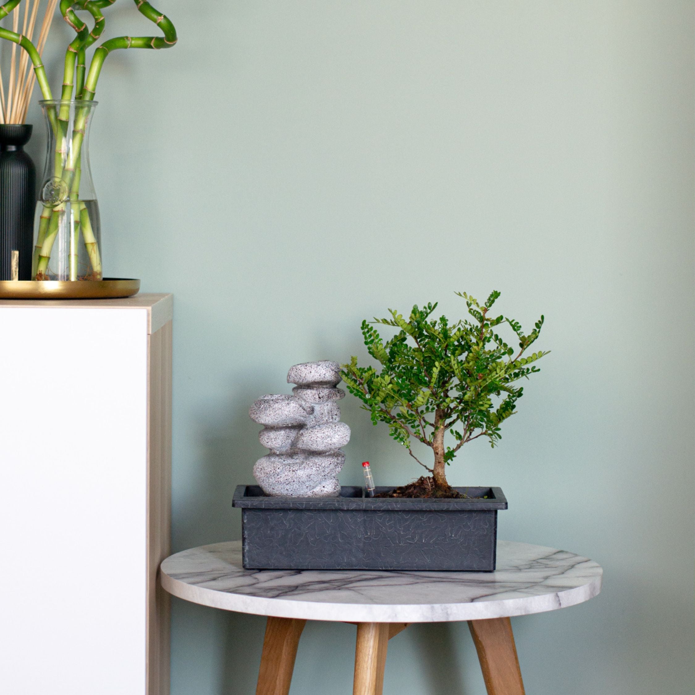 Bonsai træ med vandfald - Bonsai