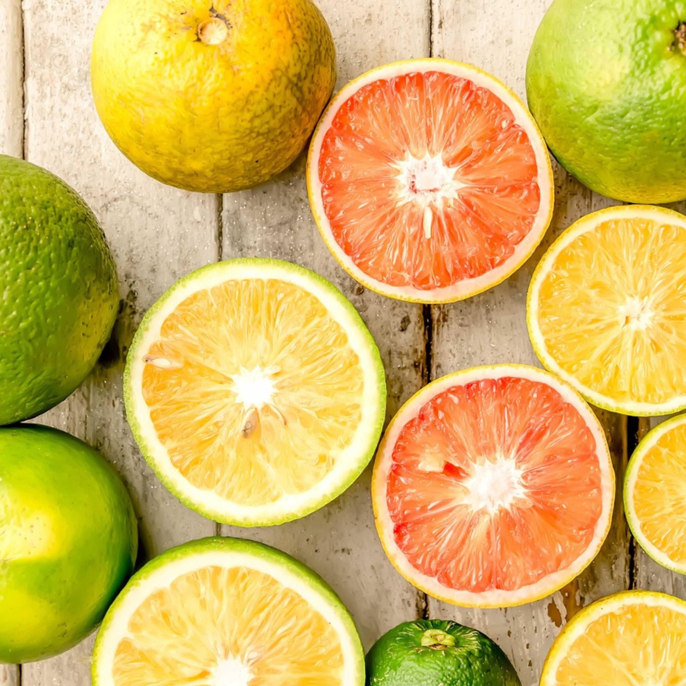 Citrontræ - Sæt med 3 - Citrus limon